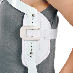 Alternative view of ΝΑΡΘΗΚΑΣ ΕΚΤΑΣΗΣ ΚΟΡΜΟΥ ΤΡΙΩΝ ΣΗΜΕΙΩΝ “JEWETT”